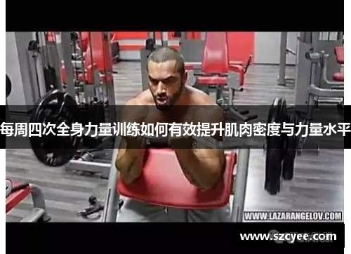 每周四次全身力量训练如何有效提升肌肉密度与力量水平
