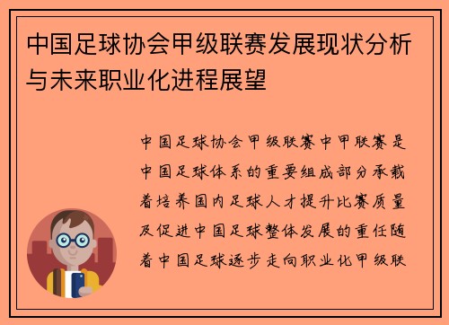 中国足球协会甲级联赛发展现状分析与未来职业化进程展望