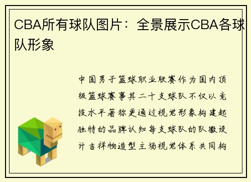 CBA所有球队图片：全景展示CBA各球队形象