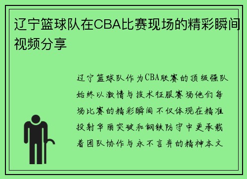 辽宁篮球队在CBA比赛现场的精彩瞬间视频分享